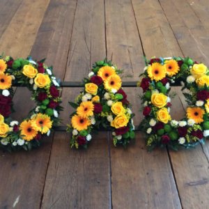 DAD - Yellow, Red and Lime Green