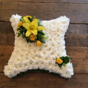 Based 17" Cushion