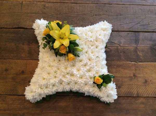 Based 17" Cushion