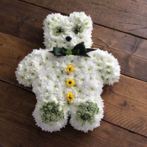 Teddy Bear