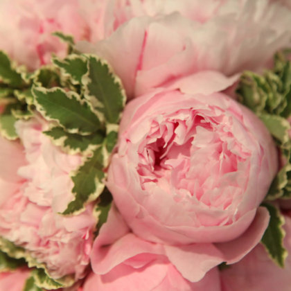 Flowers at Kendalls Florist