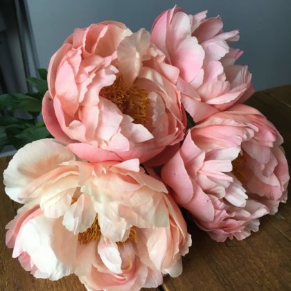 Flowers at Kendalls Florist