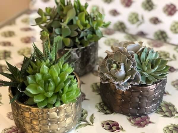 Mini Succulent Planters