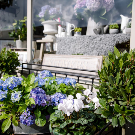Florist shop display