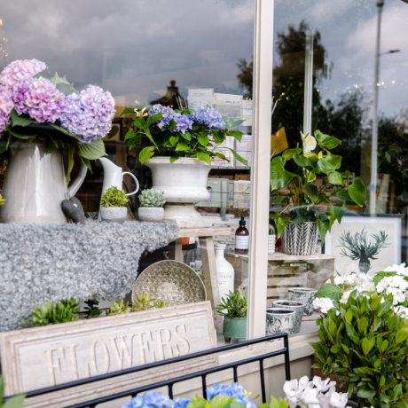window of florist shop st abans