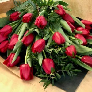 S.W.A.L.K Tulips