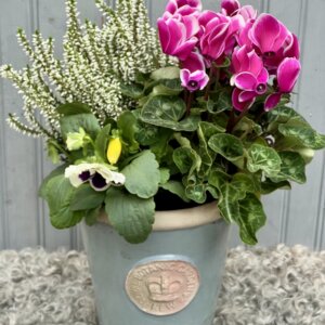 Planted Container