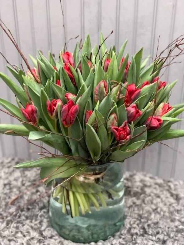 Red Parrot Tulip Hand Tied