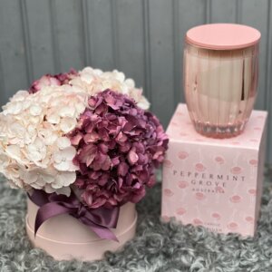 Hydrangea Hatbox