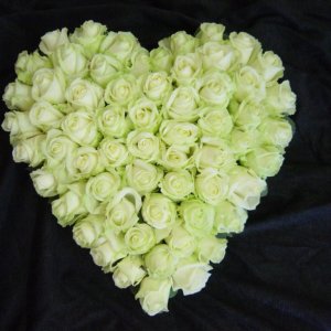 White Rose Heart