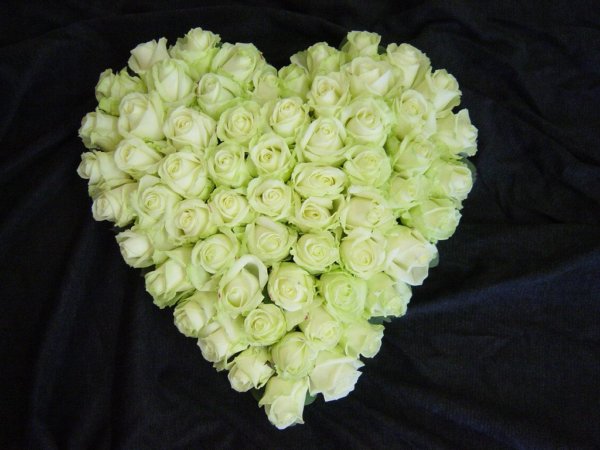 White Rose Heart